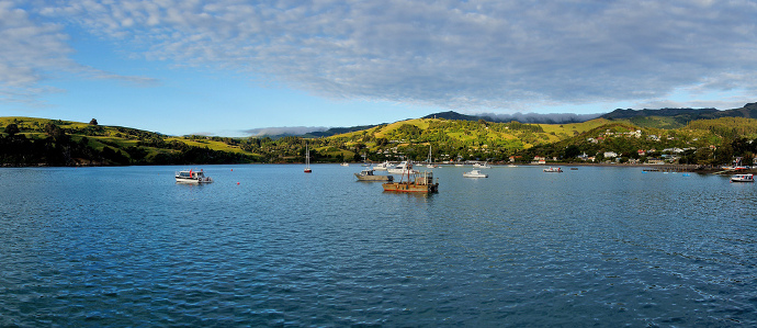 Hero Kiwis Built an Island in New Zealand For a New Year's Eve Party